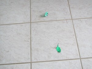 I shared the Christmas cheer all over the house.