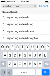 Now I know what to do if I come across a dead dolphin.