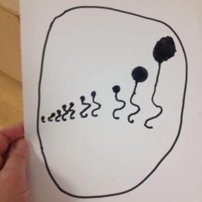 13131000_519667931550246_6428752955608086755_o